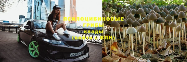 2c-b Белокуриха
