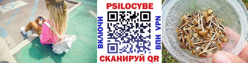 блэк спрут ссылка Вяземский Псилоцибиновые грибы мицелий